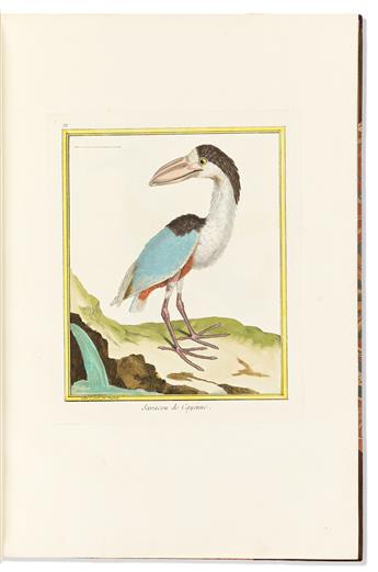 (BIRDS.) Francois Nicolas Martinet; and Edme Louis Daubenton. Bound volume of 100 large paper hand-colored engraved plates from                  